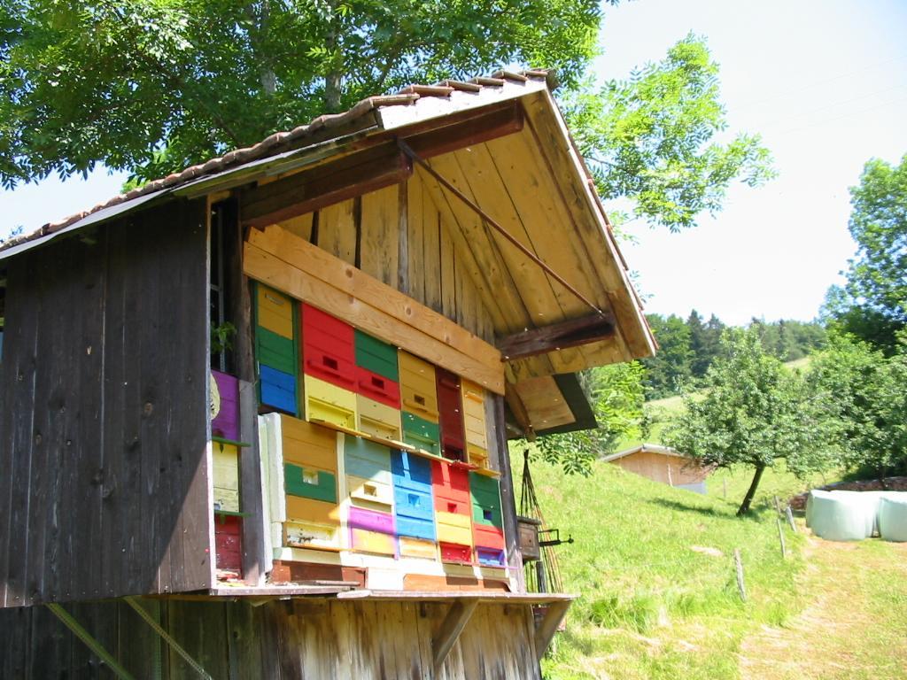Ferienwohnung Haus am Eckle Kleines Wiesental Exterior foto