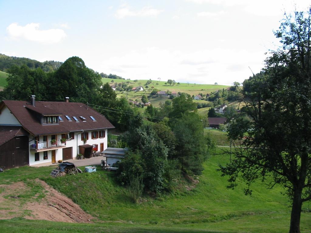 Ferienwohnung Haus am Eckle Kleines Wiesental Exterior foto